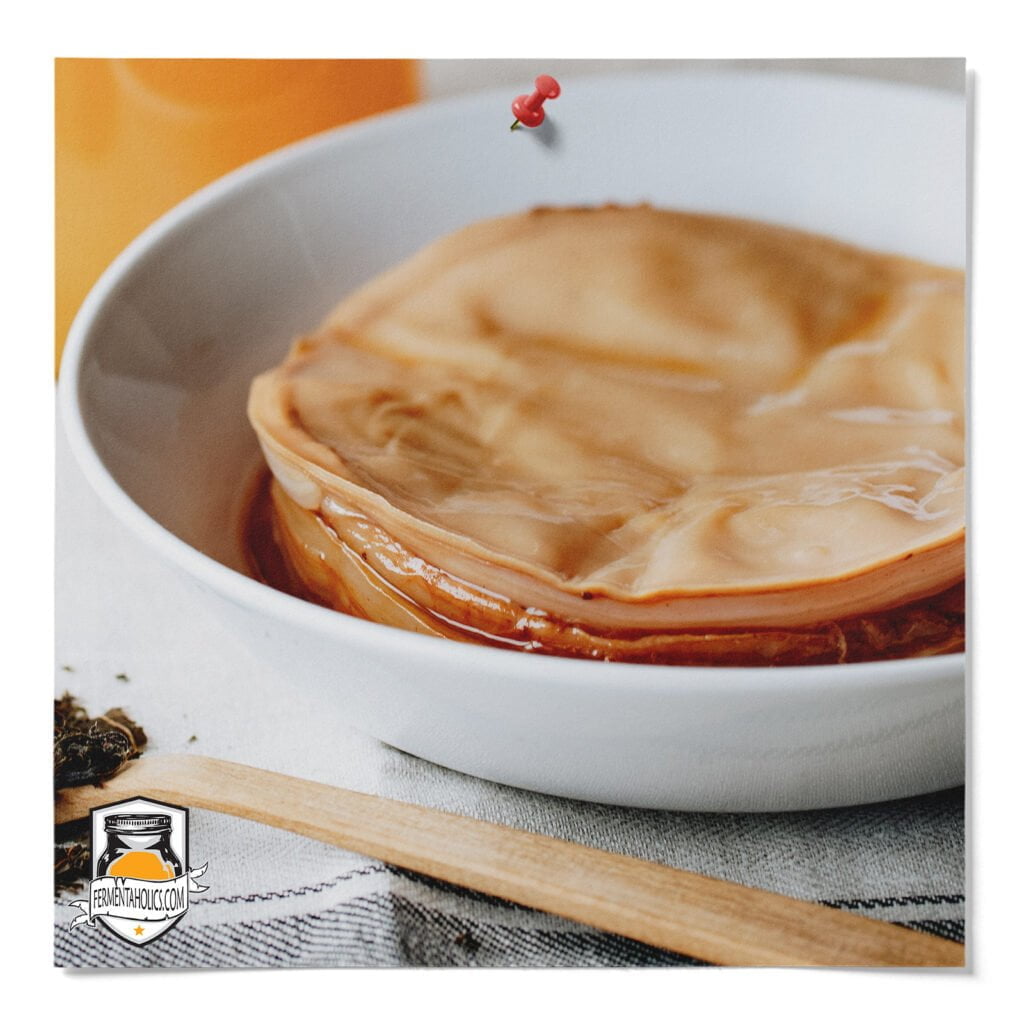 Scoby Hotel
