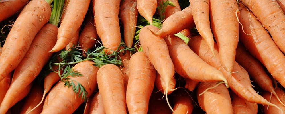 Fermented Carrots With Turmeric