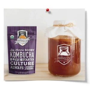 Big Kombucha SCOBY