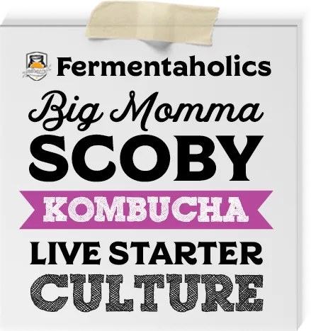 Big Momma Kombucha Scoby