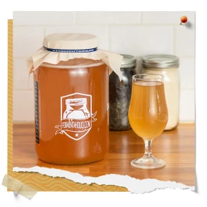 Kombucha Jun SCOBY