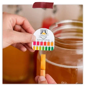 Organic Jun Kombucha Starter Kit
