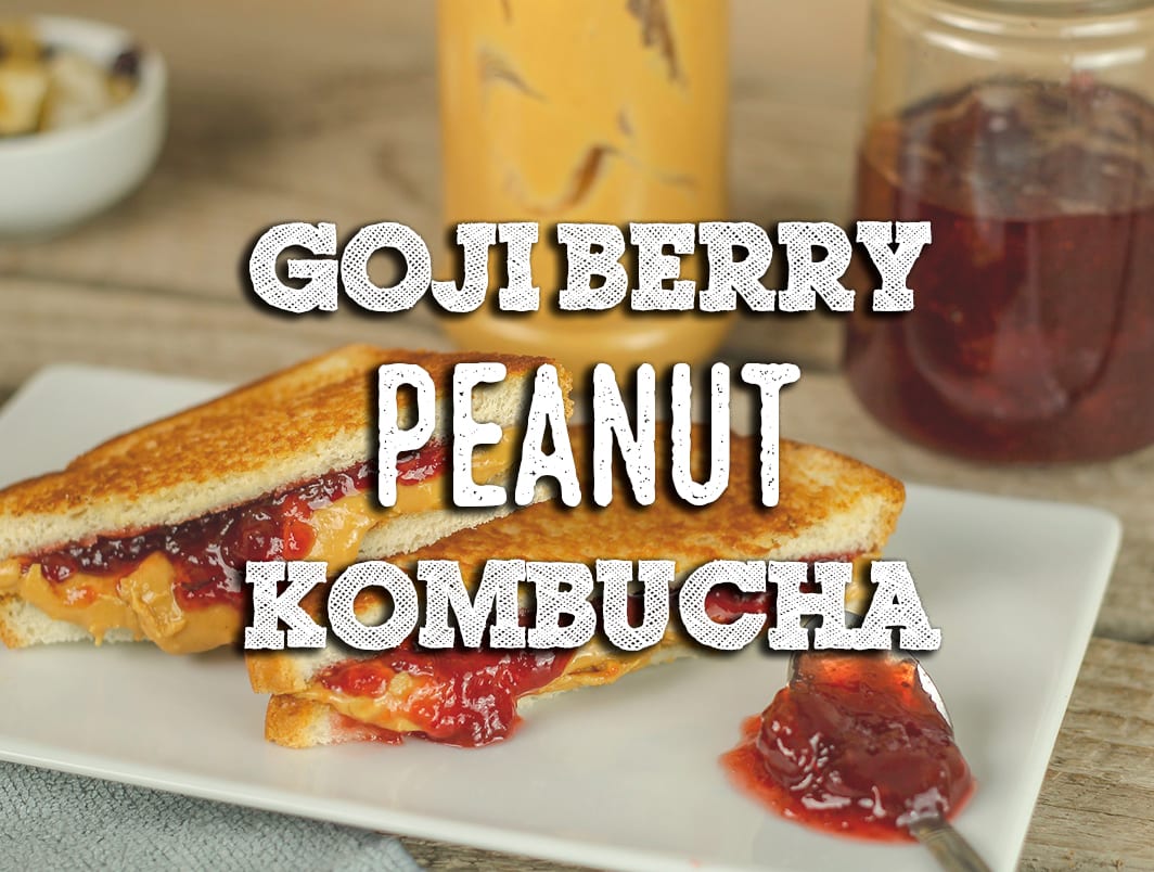 Goji Berry And Peanut Kombucha Recipe