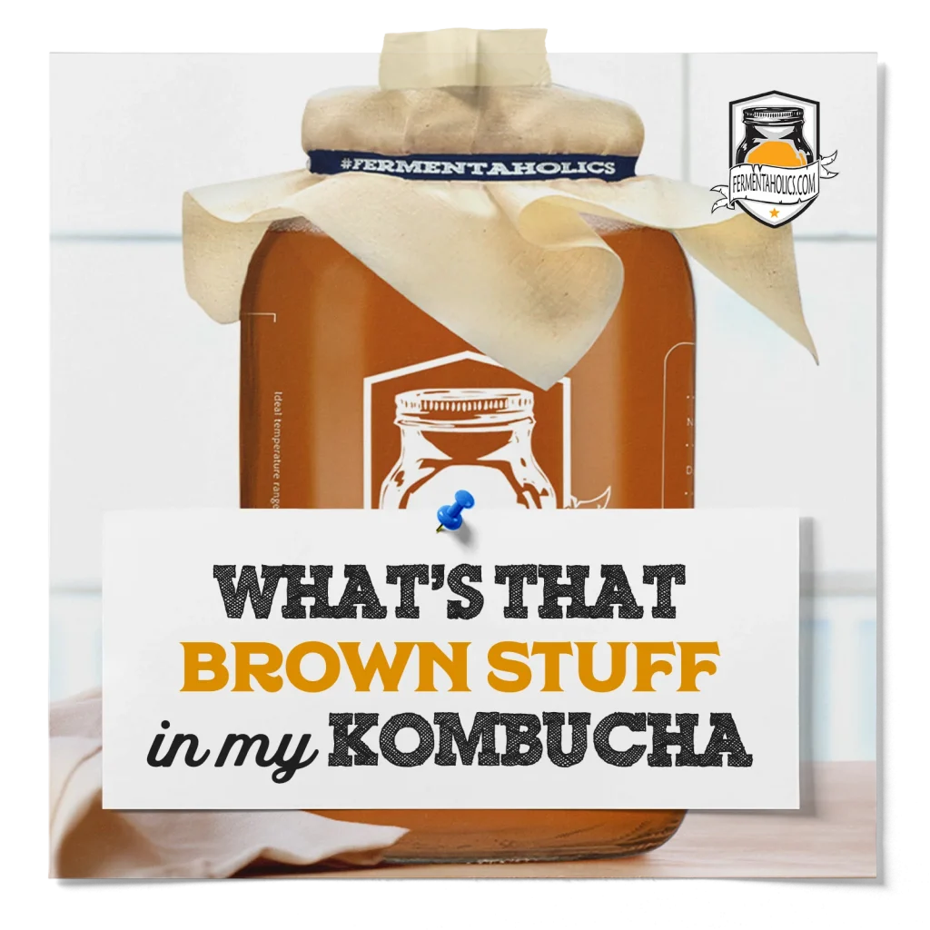 What&Apos;S That Brown Stuff In My Kombucha
