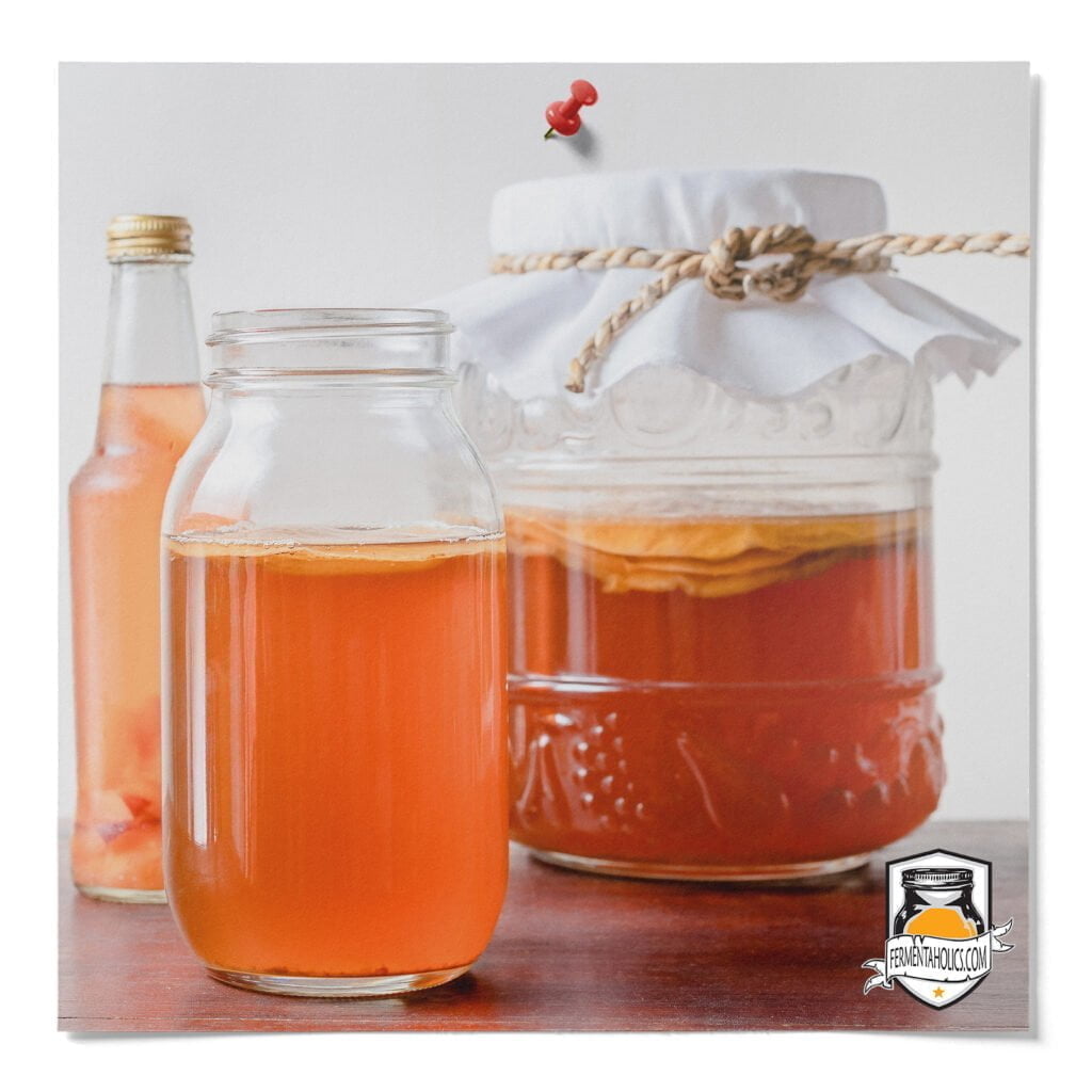 Cloudy Kombucha