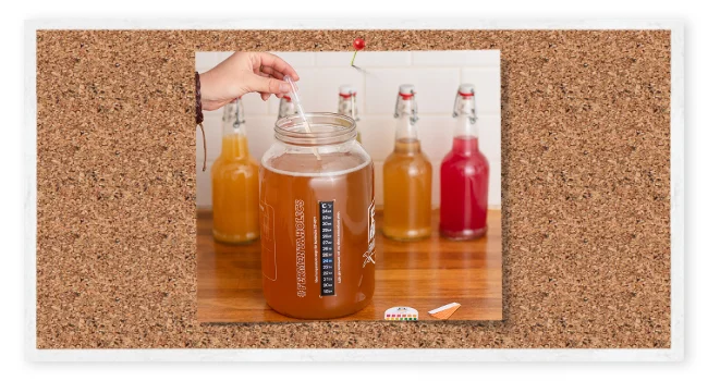 Kombucha Brewing Glass Jar