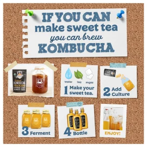 1-Gallon Kombucha Kit