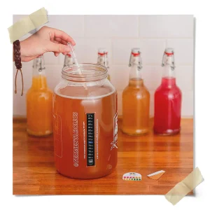 Kombucha Ingredients Kit