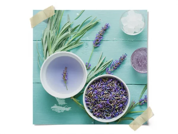 Organic Lavander Tea