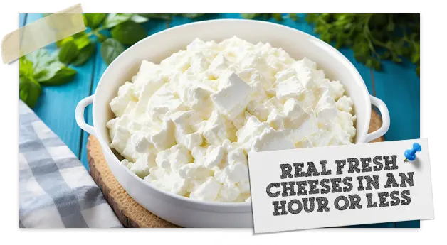 Cheese Making Kit For Beginners