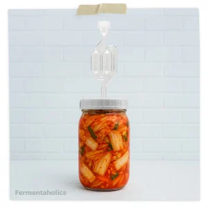 Fermentation Airlock