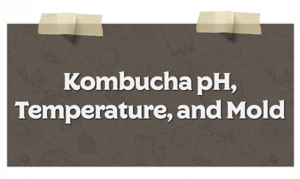 Kombucha Ph Temperature And Mold