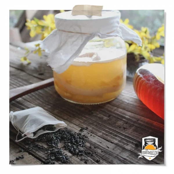 What Is Kombucha Good For