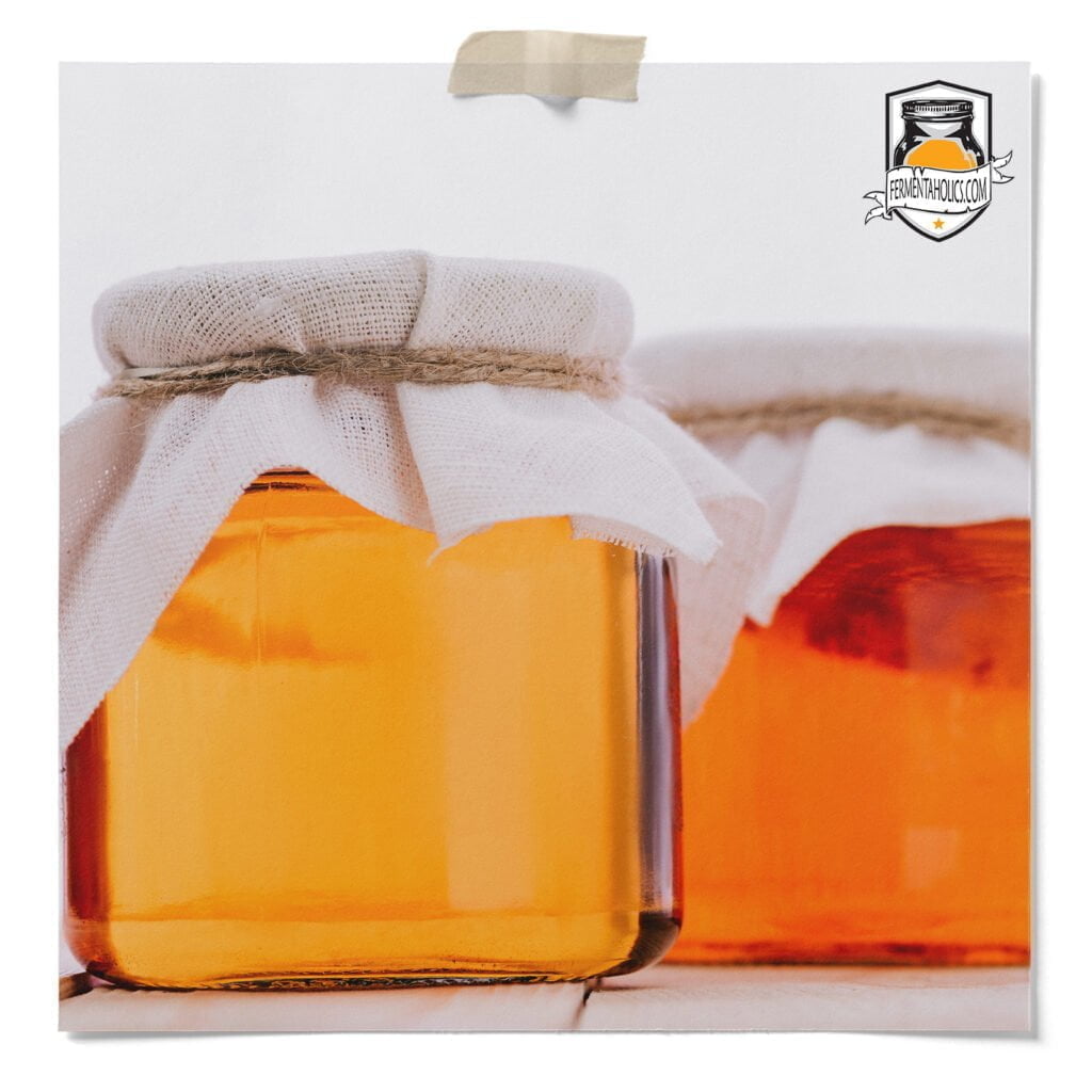 Fruit Flies In Kombucha
