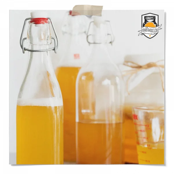 Kombucha Without Sugar