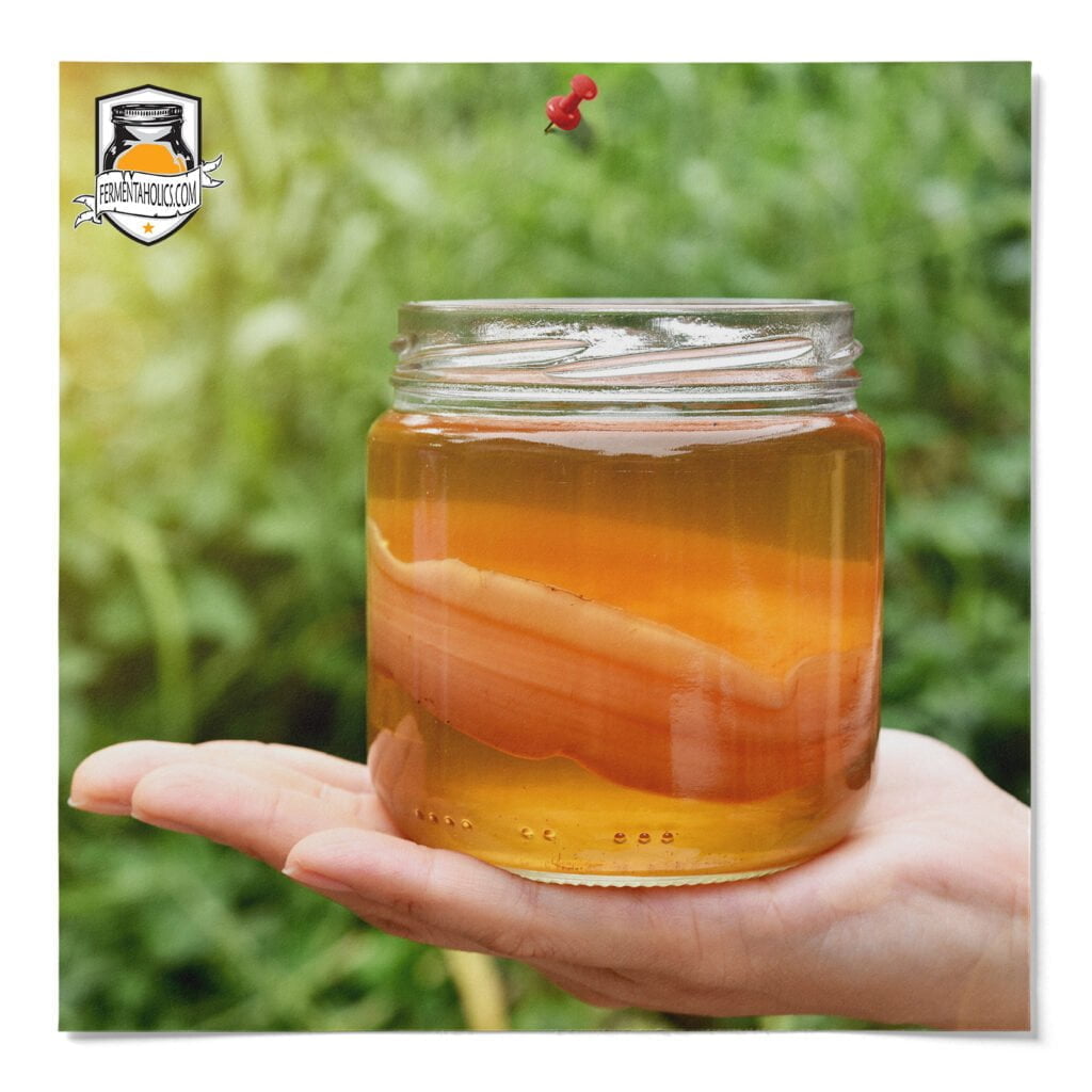 Health Benefits Of Kombucha