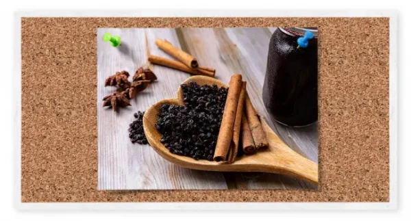 Organic Elderberry Syrup Making Kits