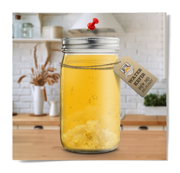 Waterkefir Mason