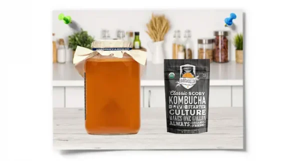 2 One-Gallon Plain Fermentation Jar