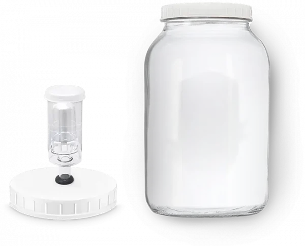 Gallon Jar With 3 Piece Airlock