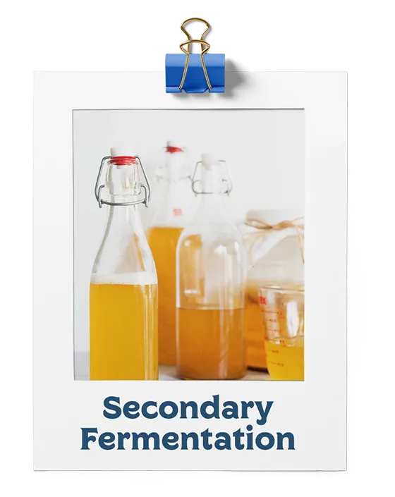 Secondary Fermentation