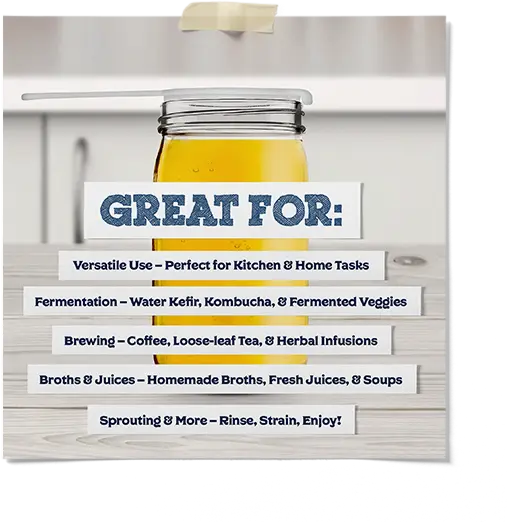 Fermented Foods Mesh Strainer