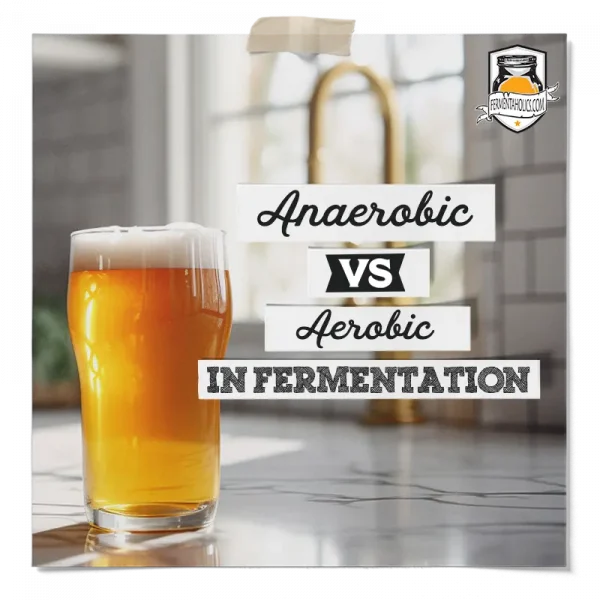 Anaerobic Vs Aerobic In Fermentation