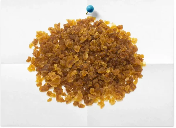 Dehydrated Water Kefir Essentials Kit