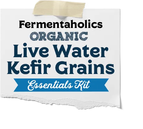 Live Water Kefir Essentials Kit