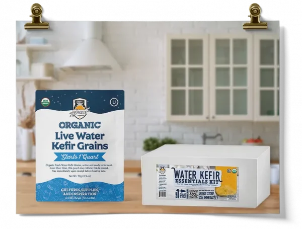 Live Water Kefir Grains Kit