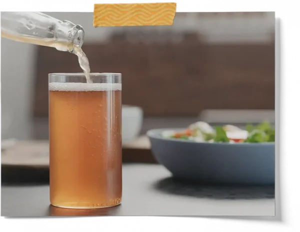 Live Water Kefir Grains Brewing Kit