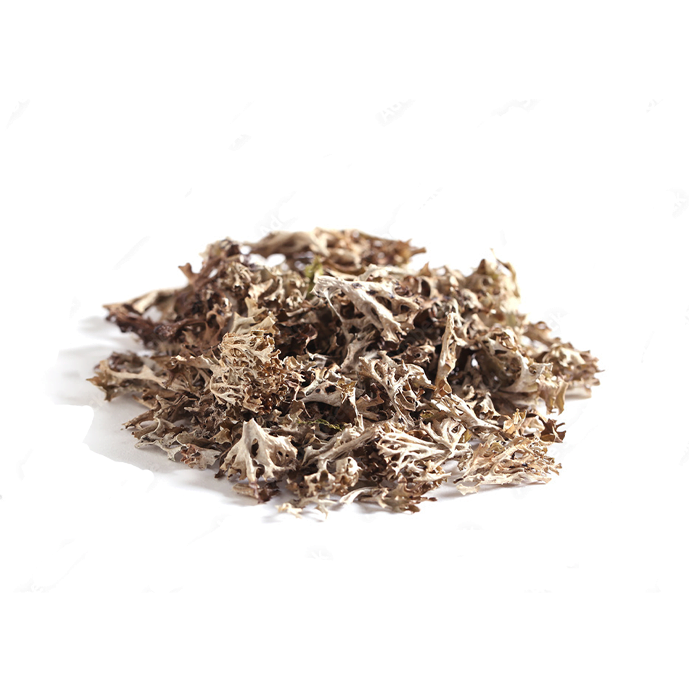 Irish Moss