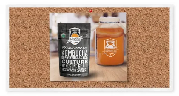 Kombucha Brewing Temp Strips