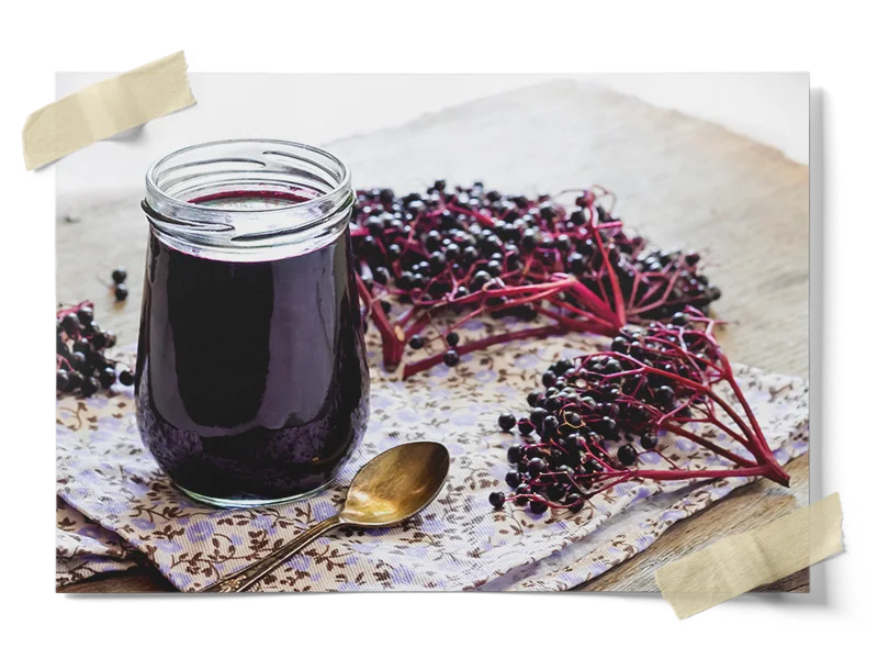 Dried Organic Elderberries