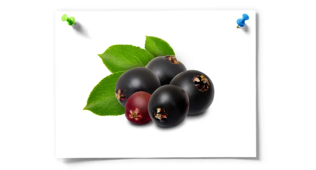 Elderberries