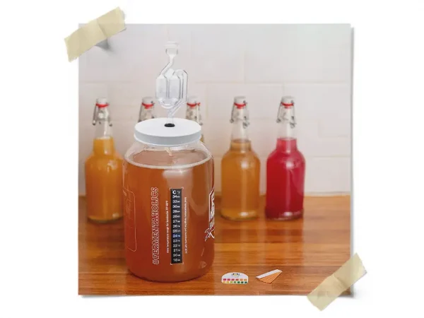 Gallon Lid With S-Style Airlock