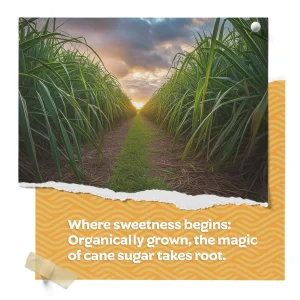 Organic Sugar Cane