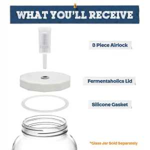 Gallon Jar Fermentation Lid