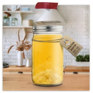 Water Kefir Spoon