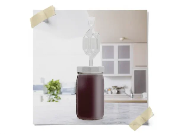 Mason Jar Fermentation Lid