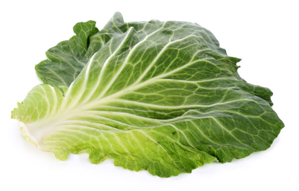 Vegetable Leaves