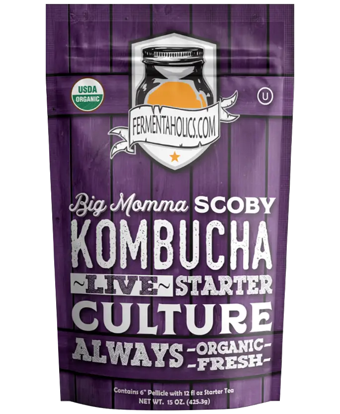 Big Momma Kombucha Scoby Live Starter Culture