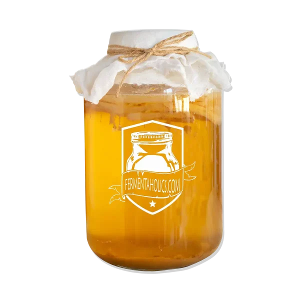 Kombucha Primary Fermentation Recipes