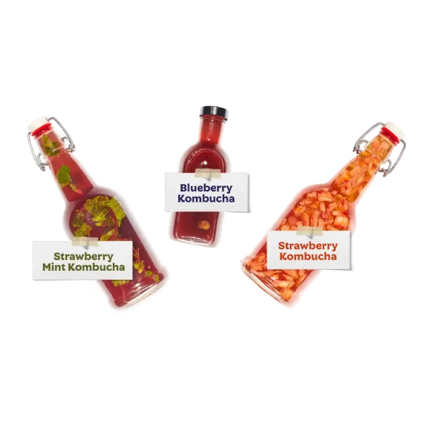 Kombucha Secondary Fermentation Recipes