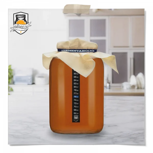 Assam Black Tea Kombucha