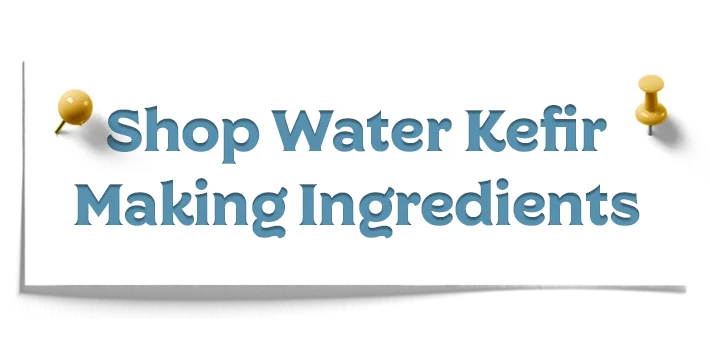 Shop Water Kefir Making Ingredients