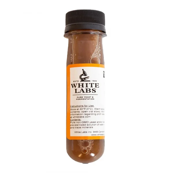 WLP653 Brettanomyces lambicus