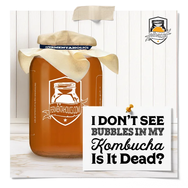 I Don&Apos;T See Bubbles In My Kombucha Is It Dead?