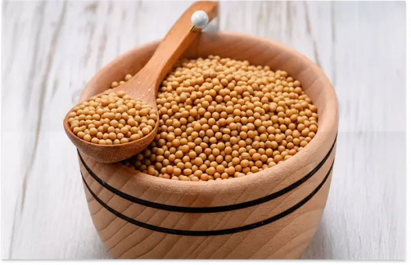 Organic Yellow Mustard Seed
