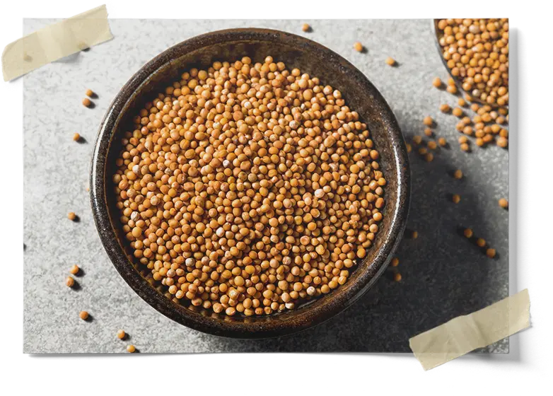 Whole Yellow Mustard Seed